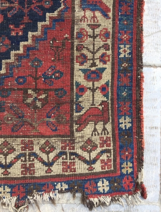 Persian Kurdish carpet size 113x107cm
                            