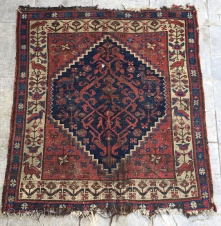 Persian Kurdish carpet size 113x107cm
                            