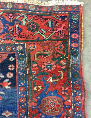 Bidjar carpet size 225x135cm                             