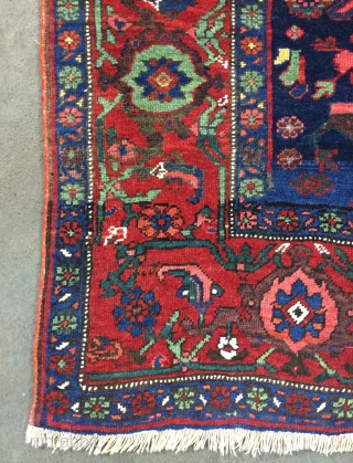 Bidjar carpet size 225x135cm                             