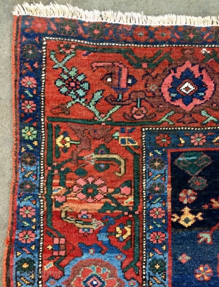 Bidjar carpet size 225x135cm                             