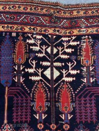 Persian Kurdish Garden Carpet, 19th Century 156x 250 cm.                        