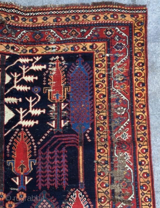 Persian Kurdish Garden Carpet, 19th Century 156x 250 cm.                        