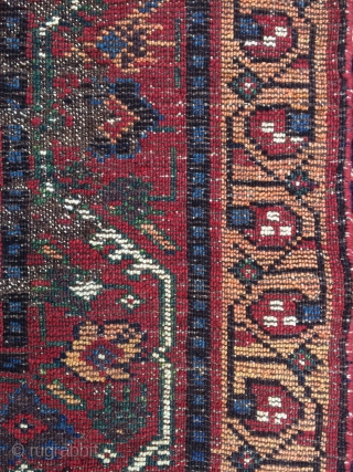 Persian Kurdish Garden Carpet, 19th Century 156x 250 cm.                        