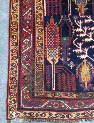 Persian Kurdish Garden Carpet, 19th Century 156x 250 cm.                        