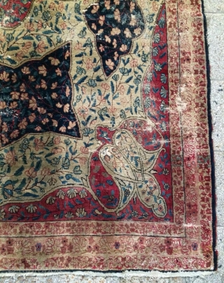 Persian rug size 340x205cm                             