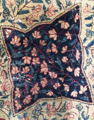 Persian rug size 340x205cm                             