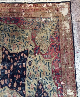 Persian rug size 340x205cm                             