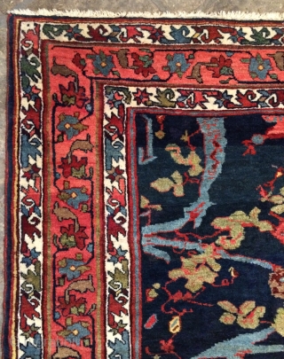 Bidjar Carpet all are colors natural dyes size 210x143 cm                       