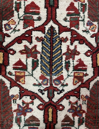 a very nice Persian carpet size 352x170cm                          