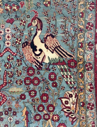 Persian rug  size 304x296cm                            