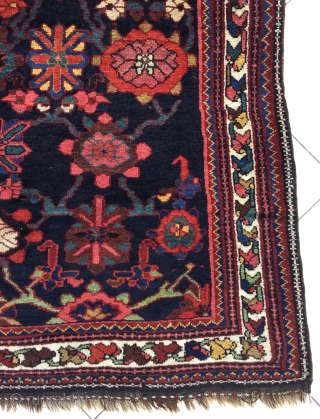 Veramin Carpet size 305x150cm                             