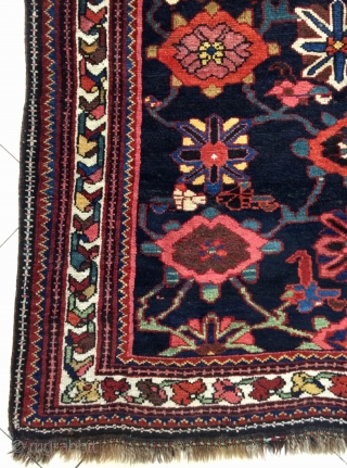 Veramin Carpet size 305x150cm                             