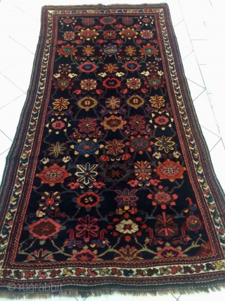 Veramin Carpet size 305x150cm                             