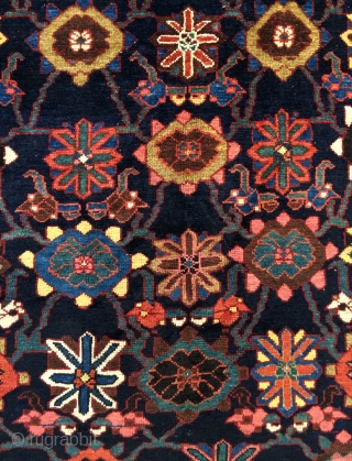 Veramin Carpet size 305x150cm                             