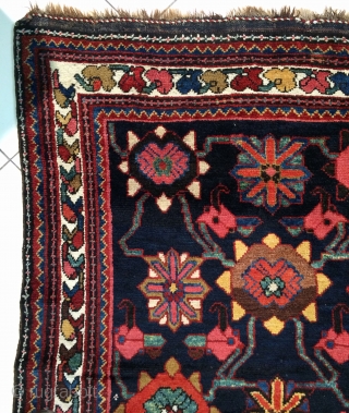 Veramin Carpet size 305x150cm                             