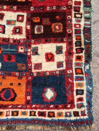 Qhasgai gabbeh 1950s size 153x130cm                            