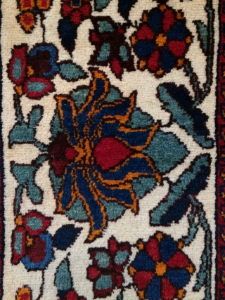 Bahtiyar Carpet size 220x165cm
                             