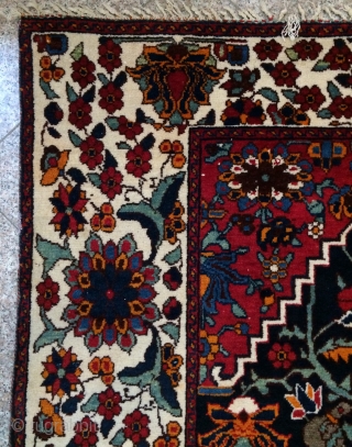 Bahtiyar Carpet size 220x165cm
                             