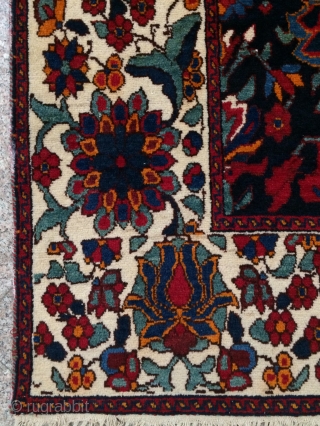 Bahtiyar Carpet size 220x165cm
                             