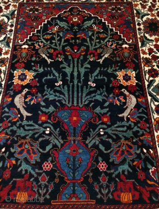 Bahtiyar Carpet size 220x165cm
                             