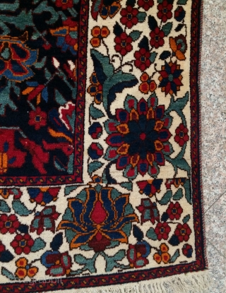 Bahtiyar Carpet size 220x165cm
                             