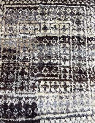 Persian gabbeh size 227x164cm                             