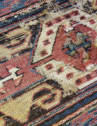Caucasian panel size 52x96cm                             