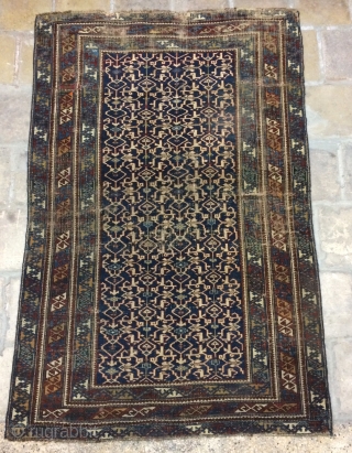 Shirvan rug size 195x110cm                             