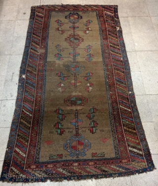 Persian Kurdish carpet size 235x135cm                            