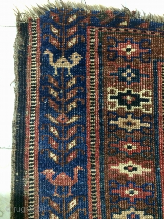 Rare Qhasgai fragmad carpet size 100x165cm                           