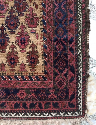 Beluch prayer rug size 170x80cm                            