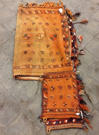 Qhasgai horse cover size 150x105cmm                            