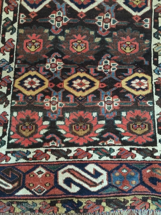 NW Persian Kurdish mina khani long rug, 9ft x 4ft5". large scale drawing with archaic S border. Excellent condition.
Untouched with original selvedges, full pile, missing 1cm on ends. 12 saturated happy colors.  ...