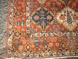 Bachtiar rug. Size: 144 x 210 cm. Used. All natural colors.                      