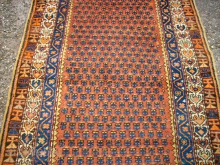 Old special runner. Size: 130 x 382 cm. Wool on wool. North-West Persia.                    