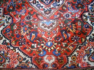 Wonderful old Bachtiari. Size: 132 x 206 cm. Very fine knotting.                      