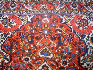 Wonderful old Bachtiari. Size: 132 x 206 cm. Very fine knotting.                      