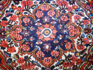 Wonderful old Bachtiari. Size: 132 x 206 cm. Very fine knotting.                      