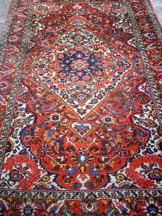 Wonderful old Bachtiari. Size: 132 x 206 cm. Very fine knotting.                      