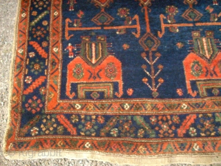 Very old and special kurdish rug. Koliai. Size: 143 x 237 cm. Good condition. All natural colors. Wool on wool.             