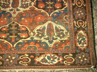 antique Bachtiari. Size: 146 x 191 cm. Organic Colors. Fine knotting. Thin pile.                    