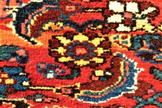 antique Bidjar Mafrash side. Size: approx. 100 x 48 cm. Great colors and perfect wool.                  