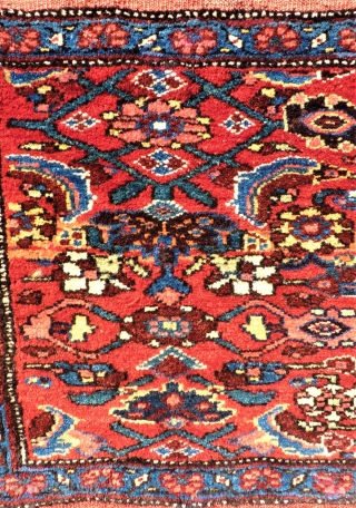 antique Bidjar Mafrash side. Size: approx. 100 x 48 cm. Great colors and perfect wool.                  