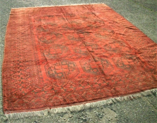 Main Afghan antique rug. Size: 247 x 321 cm. Very good condition. Lightning green.                   