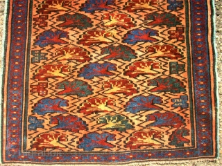 small caucasian rug. Size: 63 x 78 cm. Very fine item. Perfect condition.                    