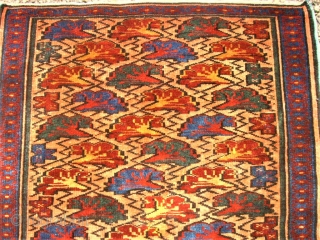 small caucasian rug. Size: 63 x 78 cm. Very fine item. Perfect condition.                    