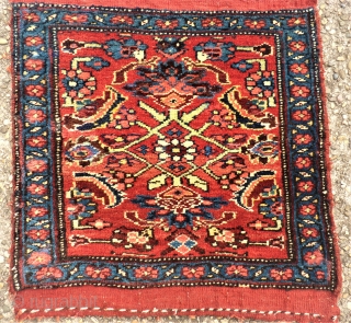 antique Bidjar Mafrash side. Size: approx. 50 x 50 cm. Great colors and perfect wool.                  