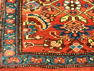 antique Bidjar Mafrash side. Size: approx. 50 x 50 cm. Great colors and perfect wool.                  