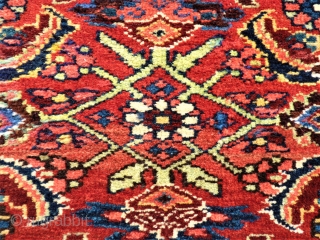 antique Bidjar Mafrash side. Size: approx. 50 x 50 cm. Great colors and perfect wool.                  